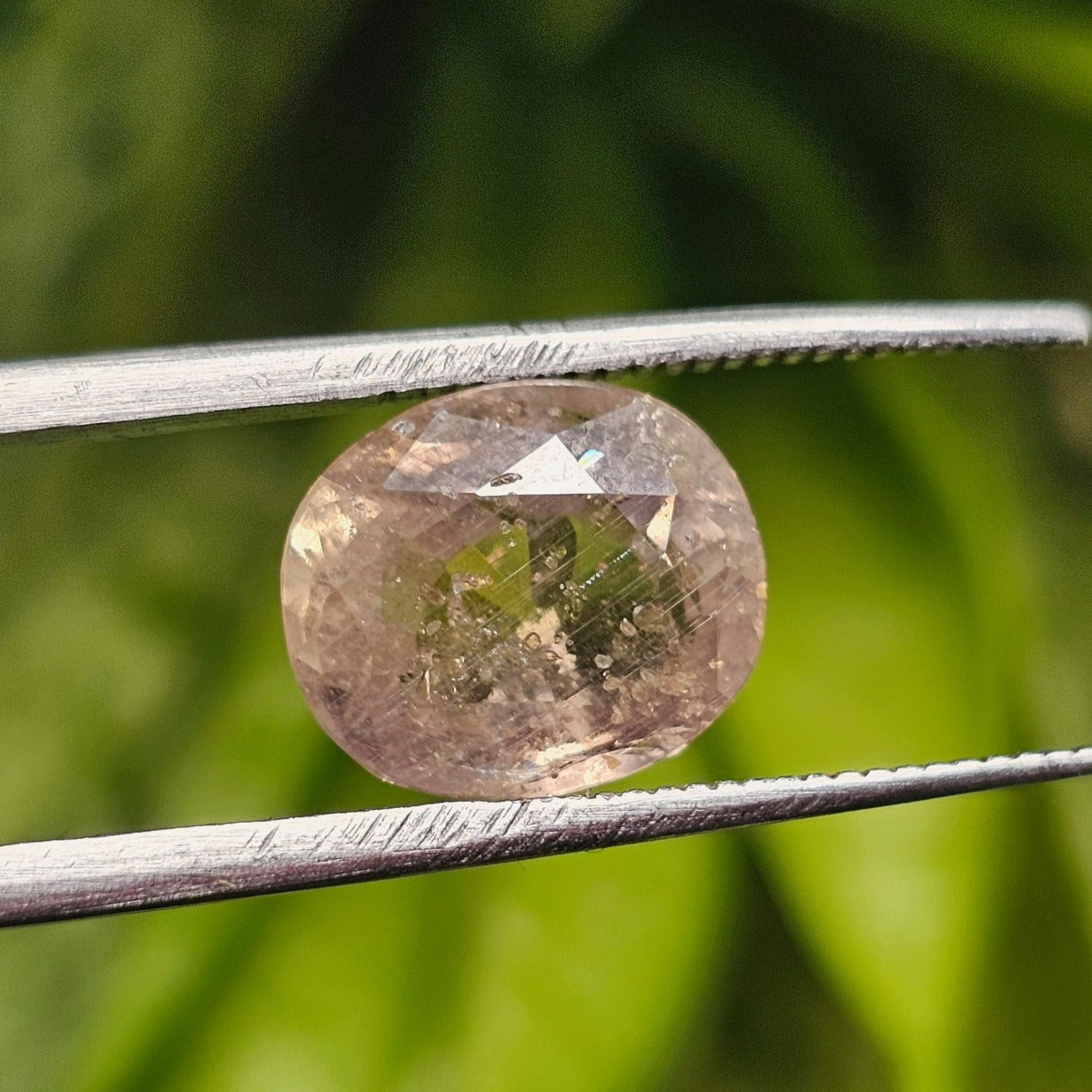 4.48 Carats Natural Olive Sapphire 10.00 x 5.40 x 8.60 mm