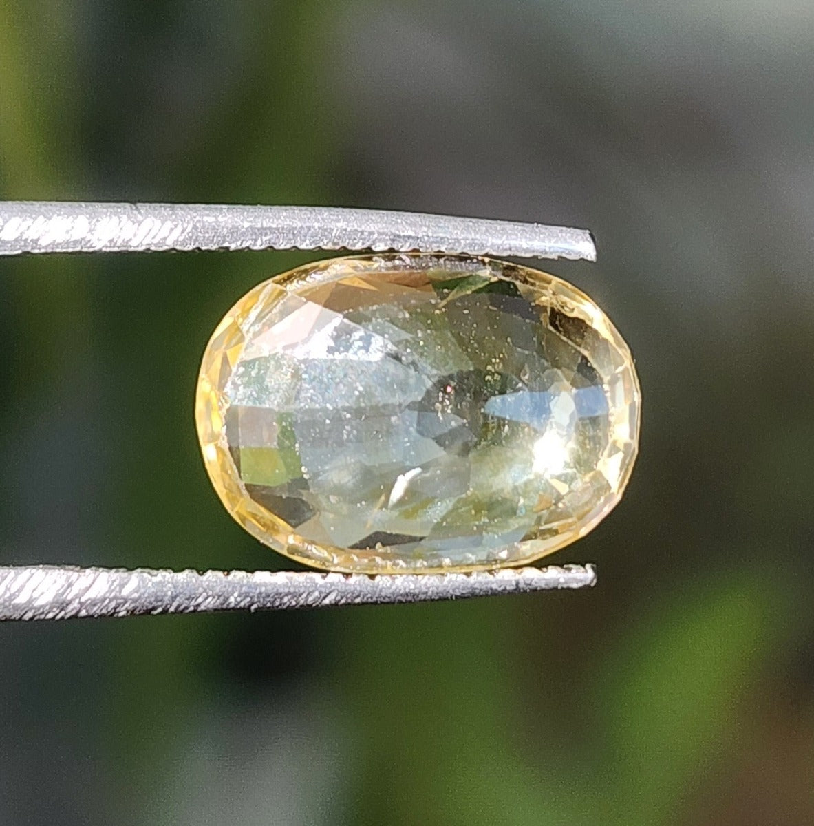 4.81 Carats Natural Yellow Sapphire 11.70 x 8.45 x 4.21 mm