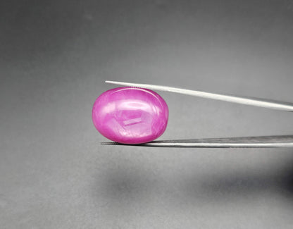 60.83 Carats Natural Johnson Mine Pinkish Red Star Ruby 24.04 x 17.63 x 11.78 mm