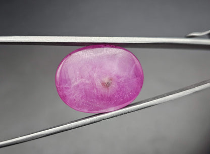 51.75 Carats Natural Johnson Mine Pinkish Red Star Ruby 24.93 x 17.58 x 10.00 mm