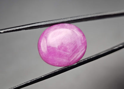 48.39 Carats Natural Johnson Mine Pinkish Red Star Ruby 24.94 x 15.19 x 11.49 mm