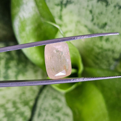 10.73 Carats Yellowish Orange Natural Sapphire 13.90 x 9.90 x 7.30 mm