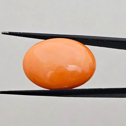 24.60 Carat Natural Japanese Orangish Red Coral 25.54 x18.94 x6.91 mm
