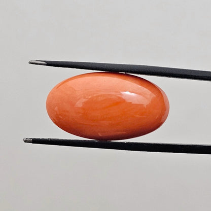 13.22 Carat Natural Japanese Orangish Red Coral 23.89x13.31x5.78 mm
