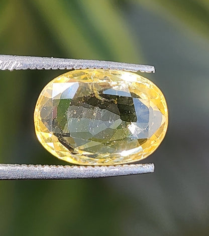 4.81 Carats Natural Yellow Sapphire 11.70 x 8.45 x 4.21 mm