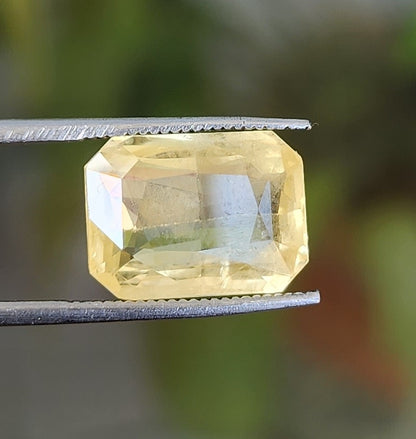 8.51 Carats Natural Yellow Sapphire 13.00 x 9.84 x 5.41 mm