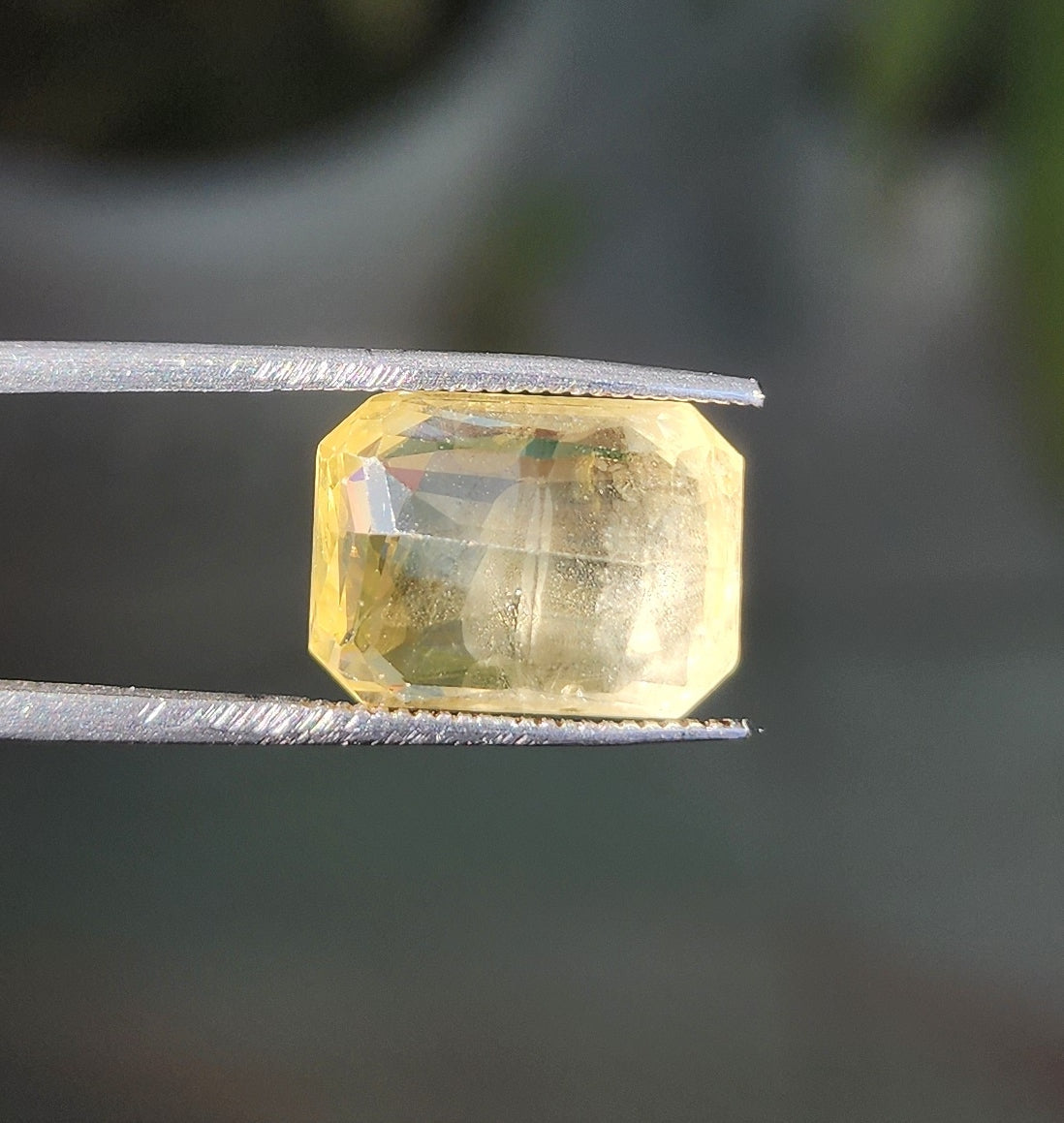8.51 Carats Natural Yellow Sapphire 13.00 x 9.84 x 5.41 mm